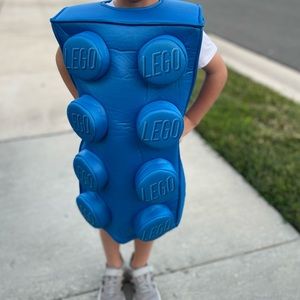 Boys LEGO costume